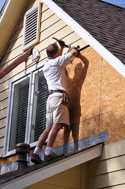 Best Residential Vinyl Siding Installation  in Drexel Heights, AZ